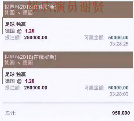 世界杯投注网站平台对比评测与选择建议 世界杯投注网站平台对比评测与选择建议